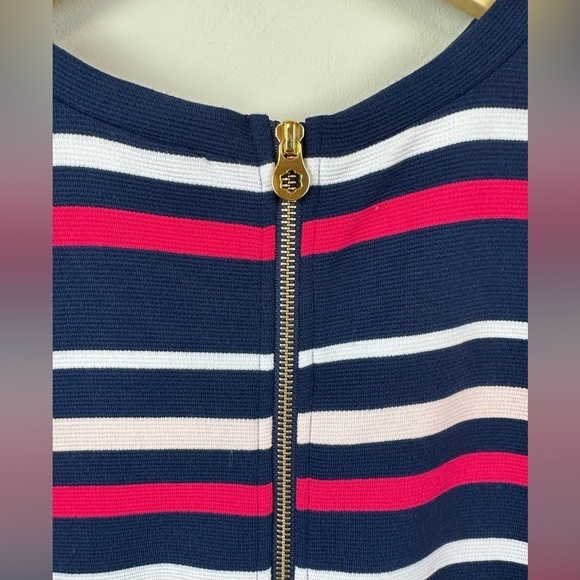 Draper James x Eloquii Ottoman Stripe Dress 14 - Picture 7 of 12